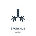 bronchus icon vector from anatomy collection. Thin line bronchus outline icon vector illustration. Linear symbol for use on web