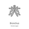 bronchus icon vector from human organ collection. Thin line bronchus outline icon vector illustration. Linear symbol for use on