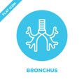 bronchus icon vector from human organs collection. Thin line bronchus outline icon vector illustration. Linear symbol for use on