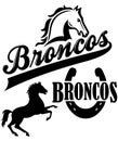 Broncos Team Mascot