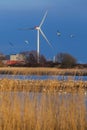 Brondby strandpark in Denmark Royalty Free Stock Photo