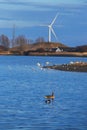 Brondby strandpark in Denmark Royalty Free Stock Photo