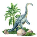 Brontosaurus. Watercolor dinosaur isolated on white background. Dinosaur on landscape with nature palm trees Royalty Free Stock Photo