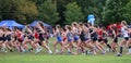 High school girls running at the start of a cross country race on a grass field Royalty Free Stock Photo
