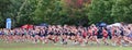 The start at a large high school cross country race Royalty Free Stock Photo
