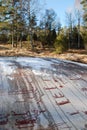 Bronze age rock carvings in Tanum in winter Royalty Free Stock Photo