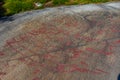 Bronze age rock paintings nearby Vitlycke, Sweden Royalty Free Stock Photo