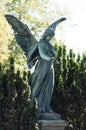 bronze angel on tomb in cemetery Royalty Free Stock Photo