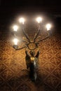 Bronze angel wall-mounted lamp with five lights on the wall with vintage brown wallpaper Royalty Free Stock Photo