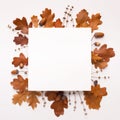 Bronze autumn square frame of oak dead leaves on white