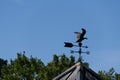 Bronze bird weathervane on top of cupola