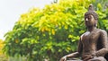 Bronze Buddha image statue in peaceful garden environment.