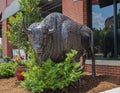 Bronze buffalo in Bricktown in Oklahoma City, Oklahoma.