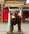 Bronze bull in Dazhao Temple, Hohhot, Inner Mongolia