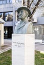Bronze bust monument of Georgios Vizyenos