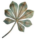 Bronze chestnut leaf. Royalty Free Stock Photo