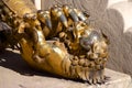Bronze Chinese Guardian Lion Cub Statue In The Forbidden City In Beijing, China