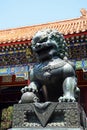 Bronze Chinese guardian lion statue Royalty Free Stock Photo