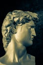 Bronze color gypsum copy of head statue David for artists on a dark background. Replica of face famous antique sculpture