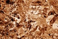 Bronze colored crushed foil textured background Royalty Free Stock Photo