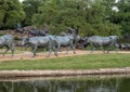 Bronze cowboy on horseback with steers in the foreground in the Pioneer Plaza, Dallas, Texas. Royalty Free Stock Photo