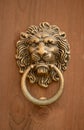 Bronze door buckle carved in relief of lion head,