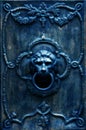 Bronze door handle in the shape of a lion`s head. Royalty Free Stock Photo