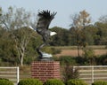 Bronze eagle sculpture on a brick pedestal in front of the Bank of Grand Lake in Langley, Oklahoma.