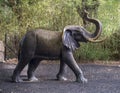 Bronze elephant sculpture, Dallas City Zoo, Texas.