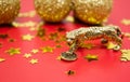 A bronze figure of a tiger with a coin - the symbol of the Chinese new year 2022 on a background of red, gold stars and balls, a