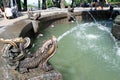 Bronze fountain fish