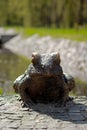 Bronze frog, park landscape decoration