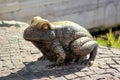 Bronze frog, park landscape decoration, side view