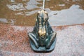 Bronze frog waterwork closeup