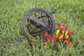 Bronze globe on a green grass field