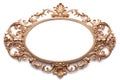 Bronze gold ornate oval picture frame on white background Royalty Free Stock Photo