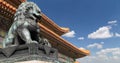 Bronze Guardian Lion Statue in the Forbidden City, Beijing, China Royalty Free Stock Photo