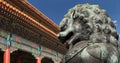 Bronze Guardian Lion Statue in the Forbidden City, Beijing, China Royalty Free Stock Photo