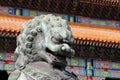 Bronze Guardian Lion Statue in the Forbidden City, Beijing, China Royalty Free Stock Photo