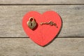 Bronze heart shape lock and key