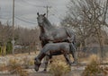 Bronze horse and colt on a traffic circle in the City of Colleyville, Texas.