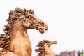 Bronze horse muzzle sculpture with flying mane on city street, close-up