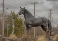 Bronze horse on a traffic circle in the City of Colleyville, Texas.