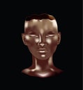 Bronze human head Royalty Free Stock Photo