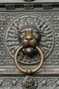 Bronze lion Royalty Free Stock Photo