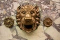 Bronze Lion Head Fountain on Marble Wall