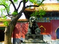 Bronze Lion inside The Lama Temple