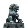 Bronze lion isolated Royalty Free Stock Photo