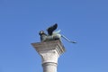 Bronze lion on the Piazza San Marco on blue sky background, Venice, Italy. Winged lion is a symbol of Venice. Ancient statue on a Royalty Free Stock Photo