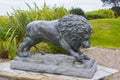 Bronze Lion Sculpture in the Slieve Donard Hotel Grounds